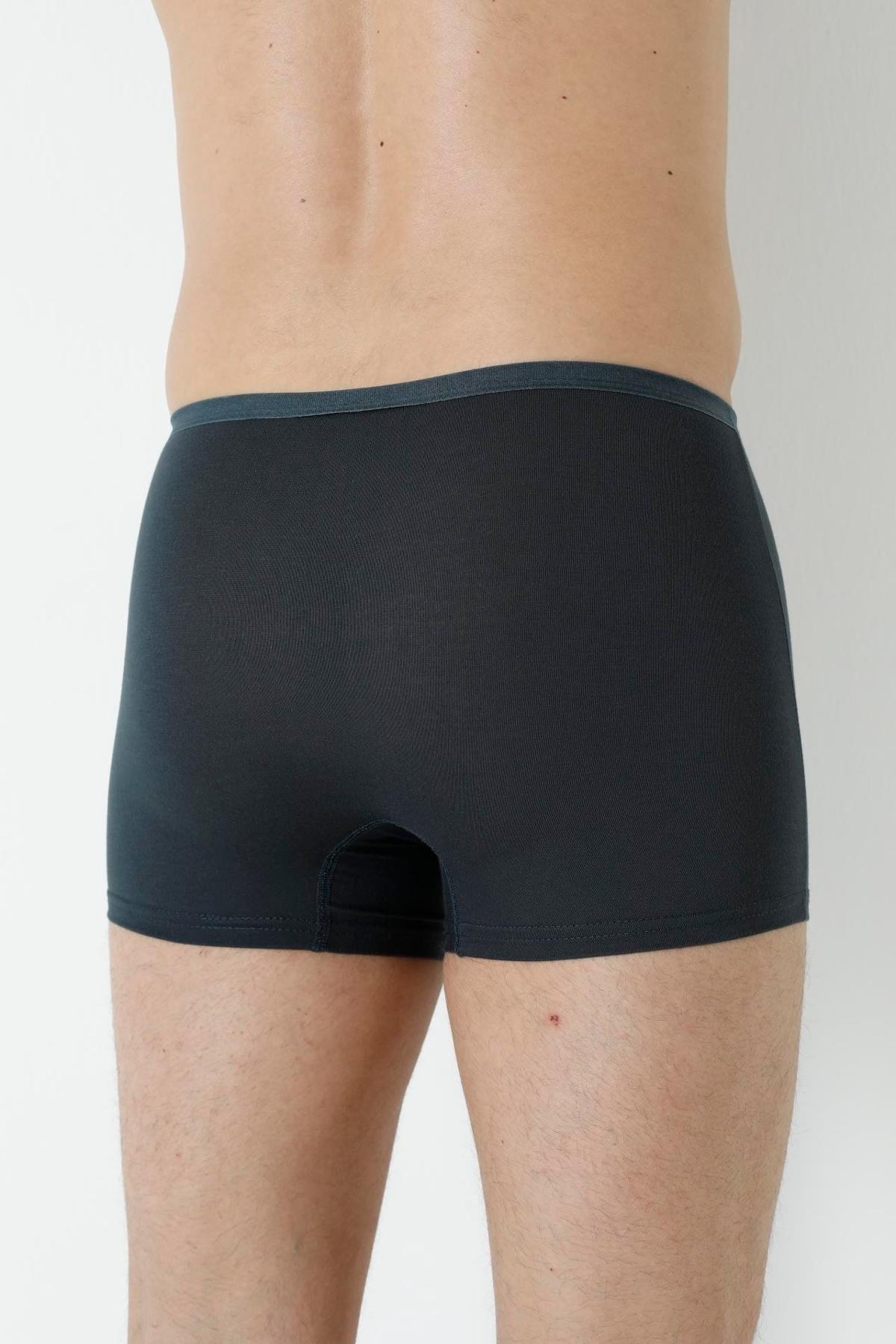 Bambu Kumaş Esnek Lastikli Boxer Arma Yıldız 1190 - Füme