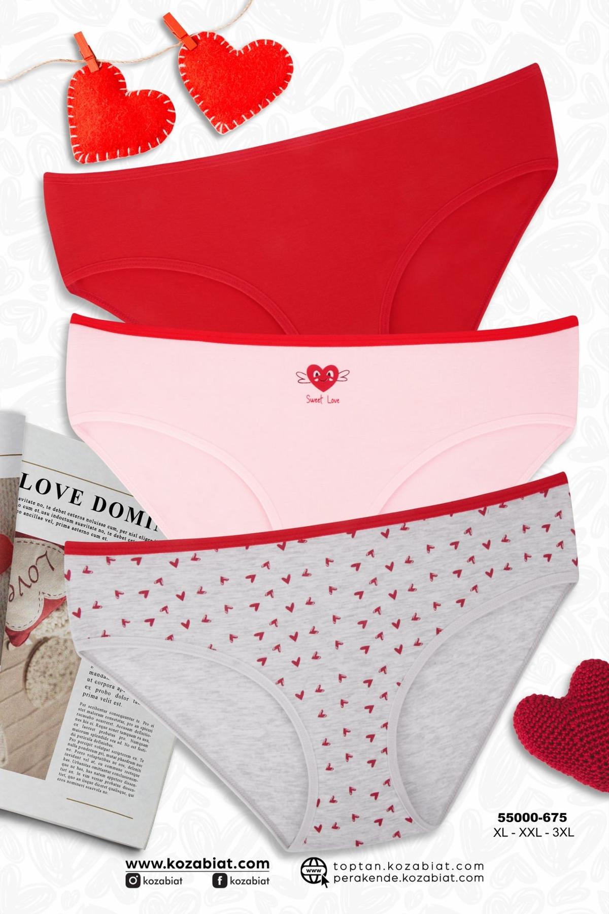 3 Adet Pamuklu Büyük Beden Bato Külot Koza Biat KZ55000-675 - Karışık Renk