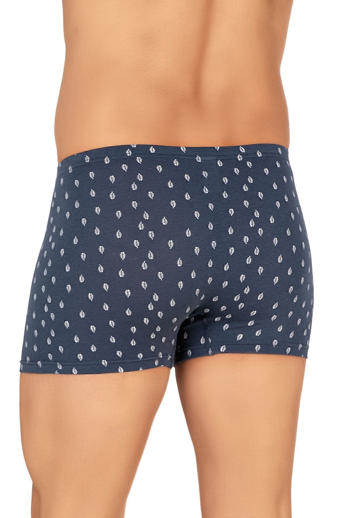 Pamuklu Modal Desenli Esnek Boxer Şort Özkan 11113 - Görsel