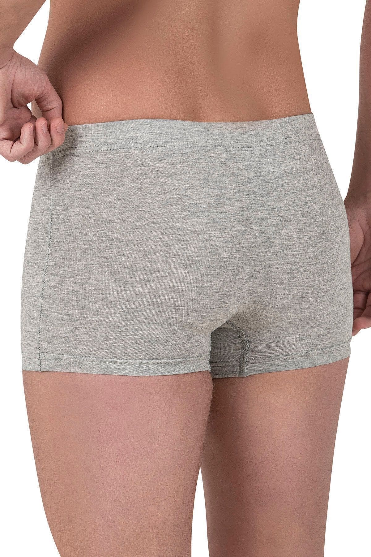 Pamuklu Likralı Esnek Boxer Şort Özkan 12024 - Gri