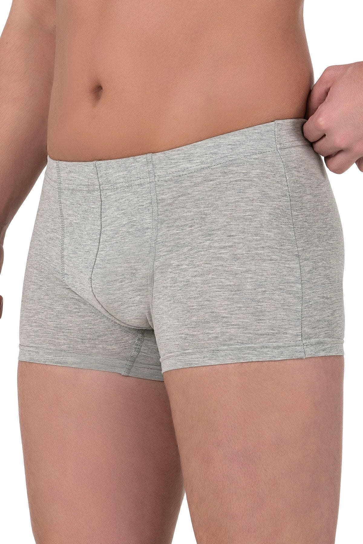 Pamuklu Likralı Esnek Boxer Şort Özkan 12024 - Gri