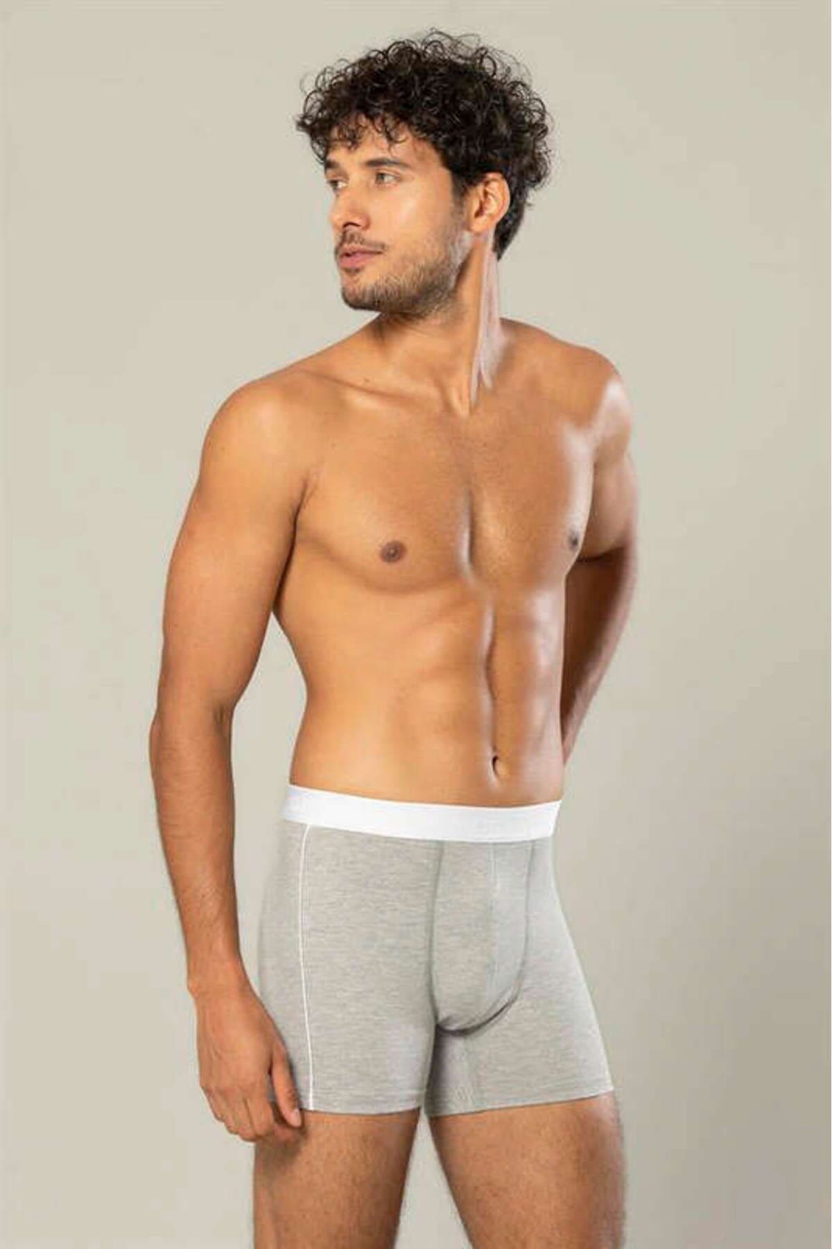 Pamuk Elastan Uzun Boxer Erdem 1417 - Gri