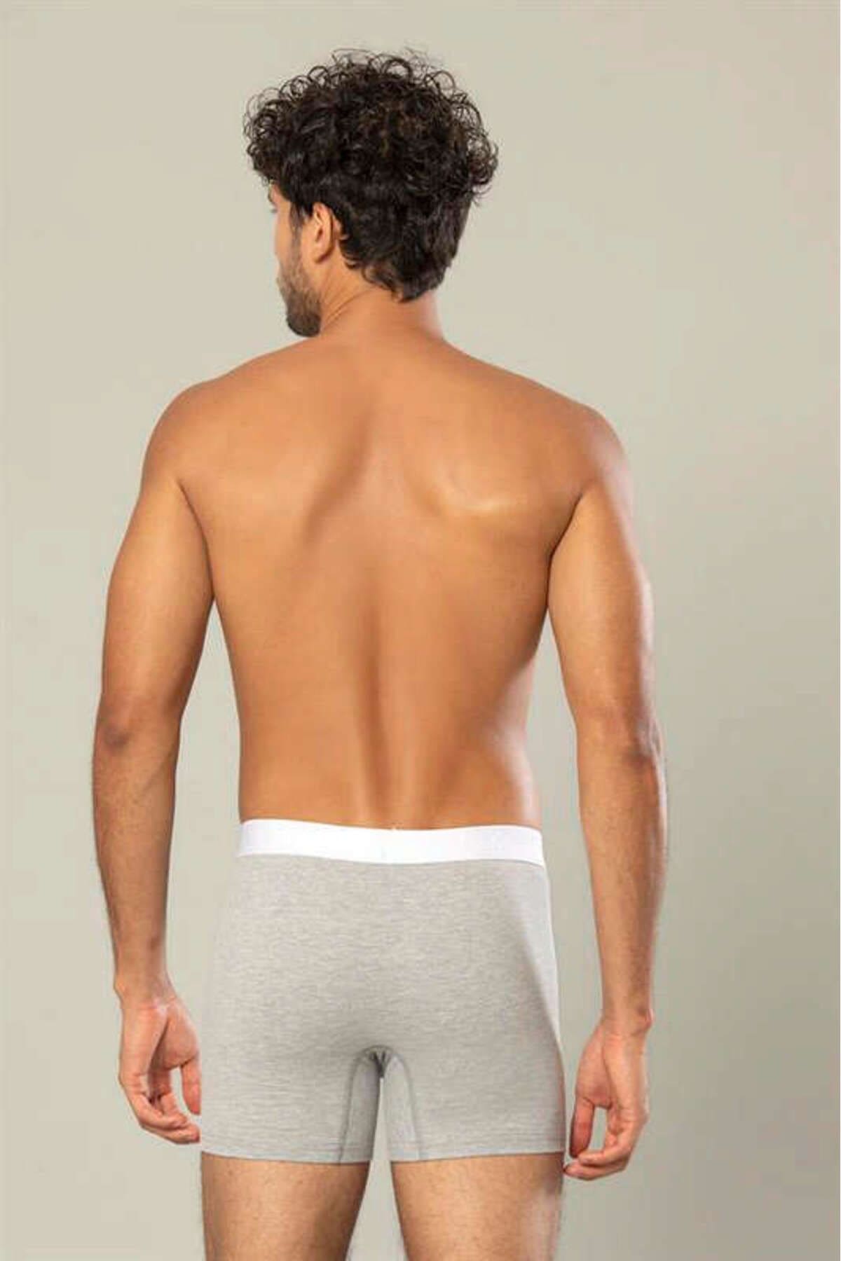 Pamuk Elastan Uzun Boxer Erdem 1417 - Gri