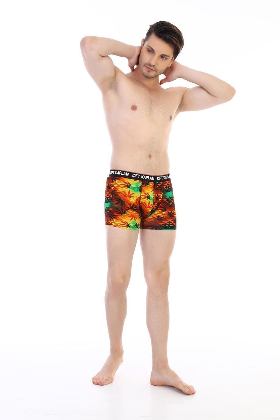 Renkli Yaprak Desenli Pamuklu Erkek Boxer Çift Kaplan 796 - Görsel