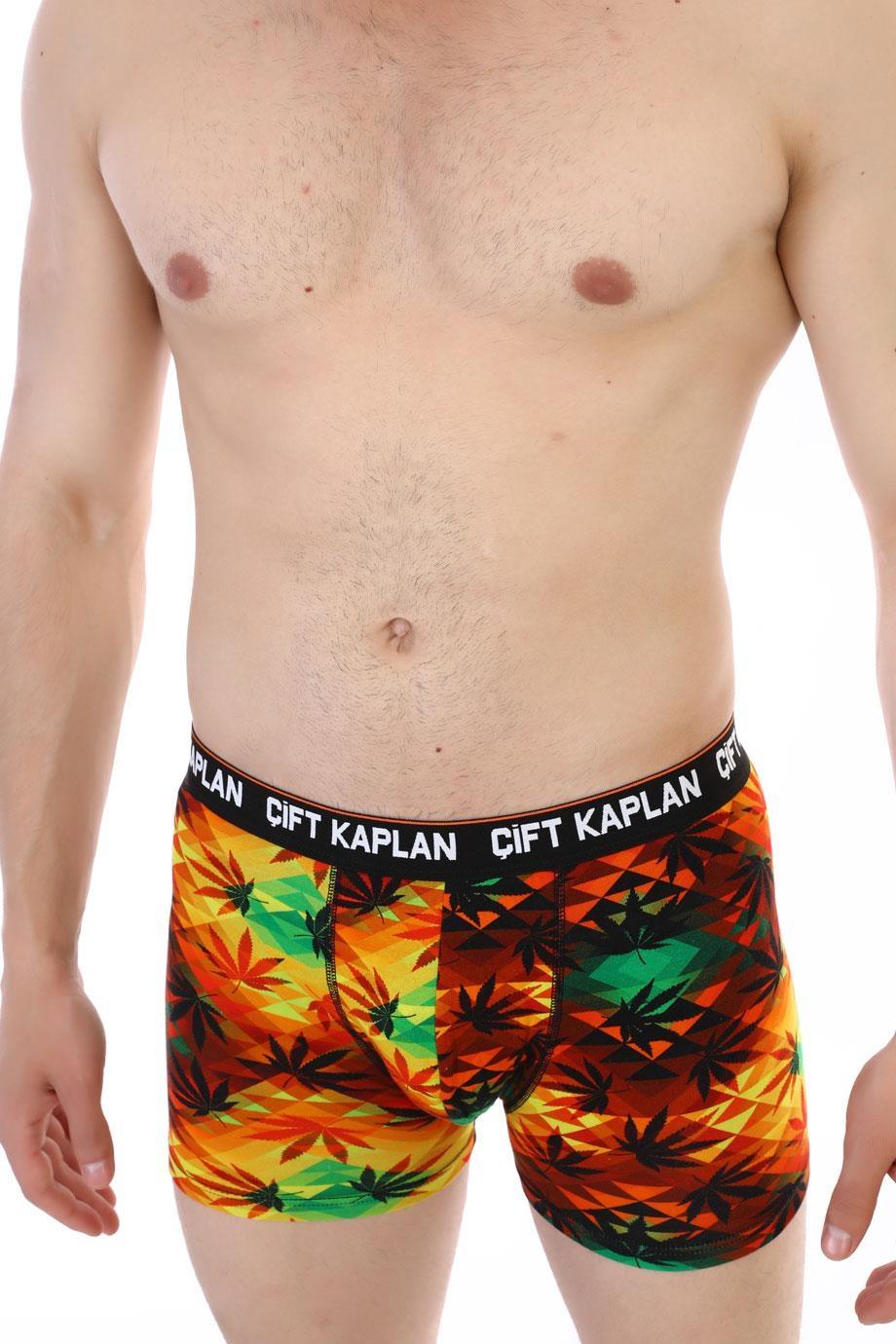 Renkli Yaprak Desenli Pamuklu Erkek Boxer Çift Kaplan 796 - Görsel