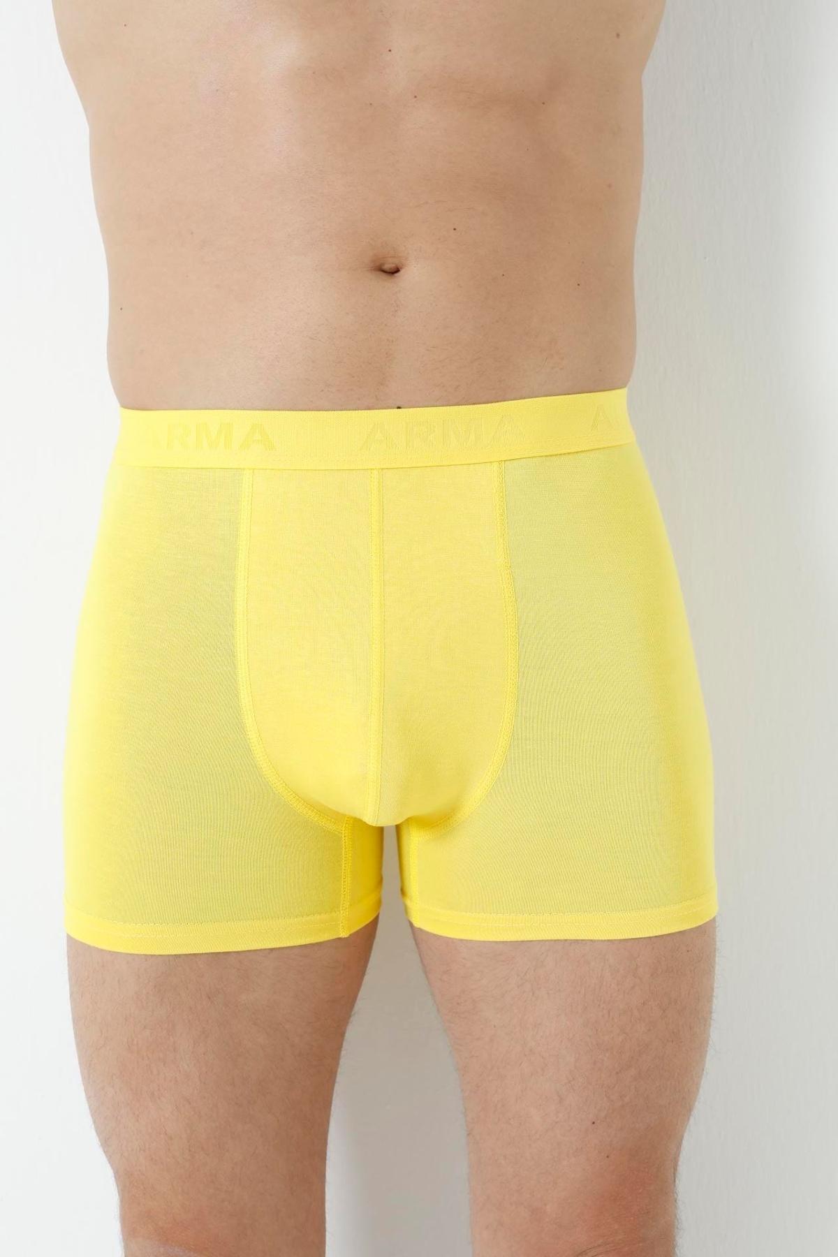 Pamuklu Sarı Erkek Bambu Boxer 3'lü Paket Arma Yıldız 1172 - Sarı