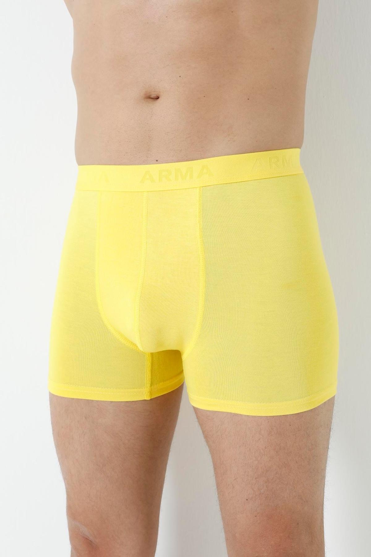 Pamuklu Sarı Erkek Bambu Boxer 3'lü Paket Arma Yıldız 1172 - Sarı