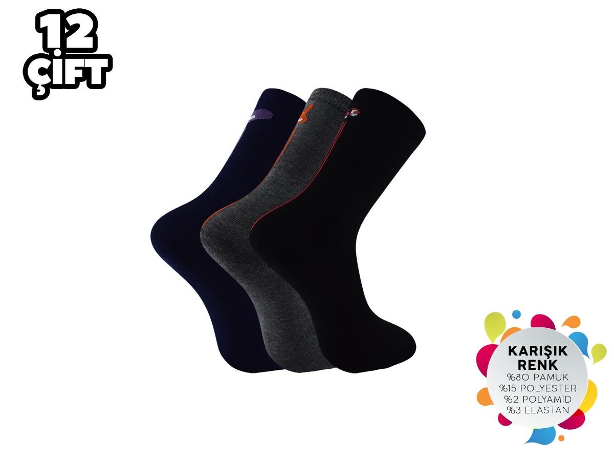 Dikişsiz Konforlu Külotlu Çorap Şirin 4150 - Asorti