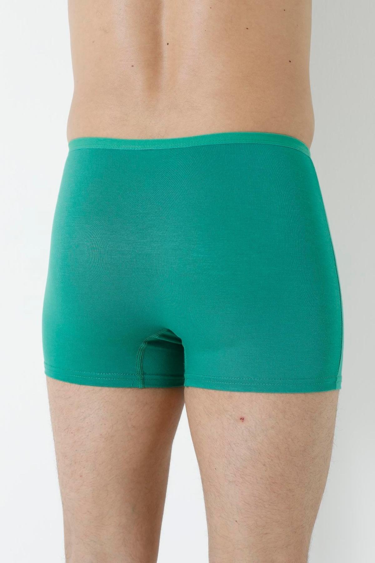 Bambu Kumaş İnce Bel Lastikli Boxer Arma Yıldız 1190 - Yeşil