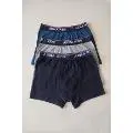 Erkek Çocuk Düz Likralı Boxer Arma Yıldız 5541 - 3 ADET