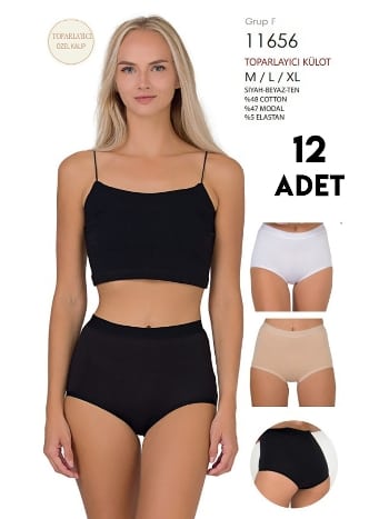 12Li Toparlayıcı Karışık Renk Kadın Külot Berrak 11656