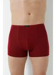 Bordo Bambu İnce Bel Lastikli Boxer Arma Yıldız 1190