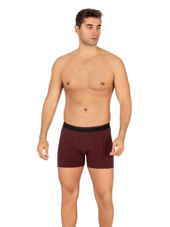 Esnek Bel Lastiği Modal Pamuklu Boxer Şort Özkan 11256