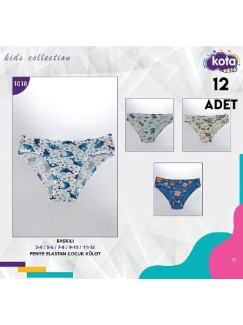 Pamuklu Desenli Erkek Çocuk Külot Kota 1018
