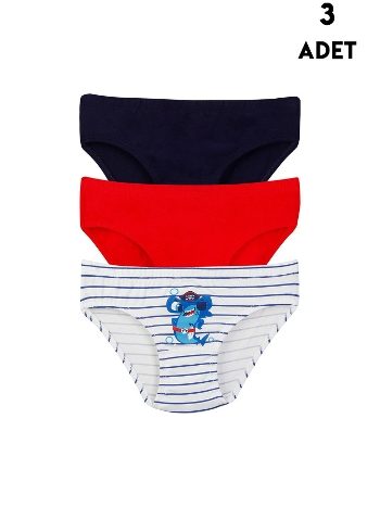 Koza Biat Erkek Çocuk Külot 3'lü KZ72000-125