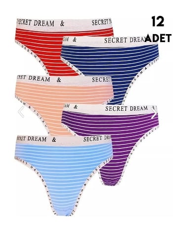 Yüksek Bel Destekli Bikini Külot Mor Tutku 0563