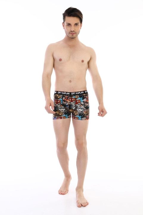 Dijital Baskılı Aslan Desenli Boxer Çift Kaplan 796 - Görsel