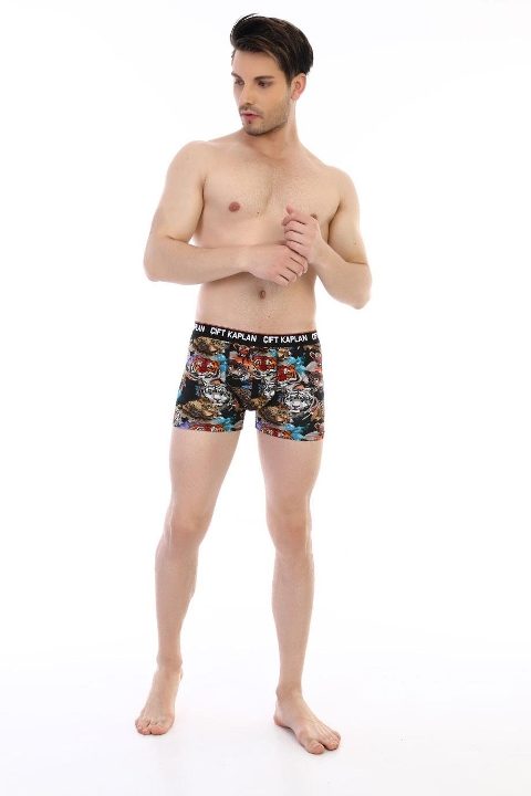 Dijital Baskılı Aslan Desenli Boxer Çift Kaplan 796 - Görsel