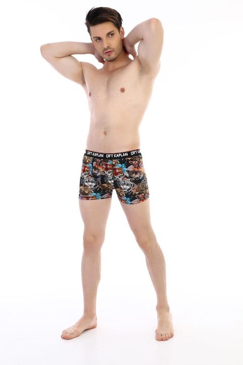 Dijital Baskılı Aslan Desenli Boxer Çift Kaplan 796 - Görsel