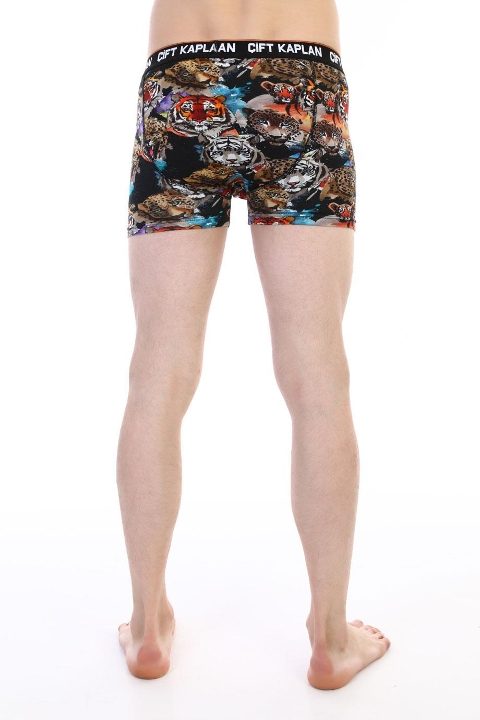 Dijital Baskılı Aslan Desenli Boxer Çift Kaplan 796 - Görsel