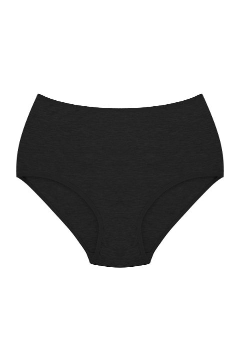 Yüksek Bel Destekli Bato Külot 3'lü Paket Arma Yıldız 3348 - 2