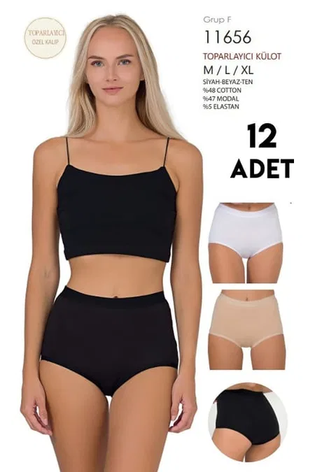 Berrak 12Li Toparlayıcı Karışık Renk Kadın Külot Berrak 11656