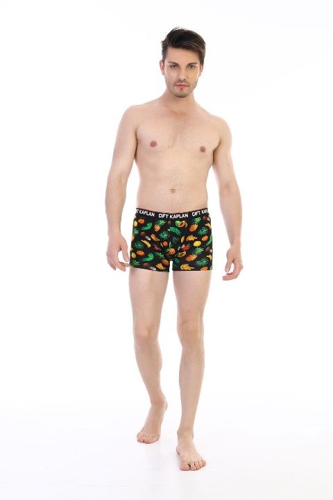 Pamuklu Elastan Renkli Erkek Boxer Çift Kaplan 796 - 2