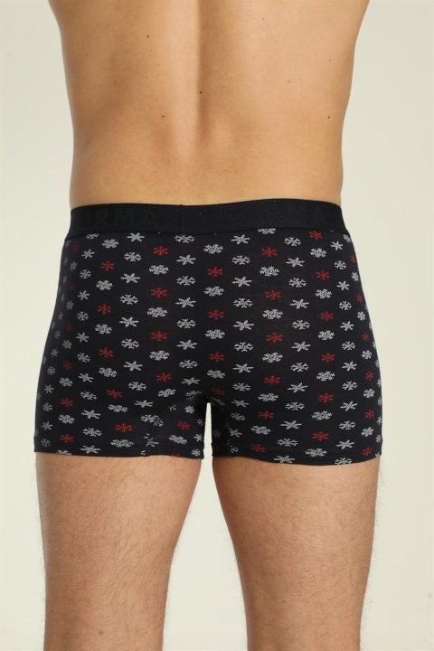 Desenli Likralı Boxer 3'lü Paket Pamuk Elastan Arma Yıldız 1144 - 2