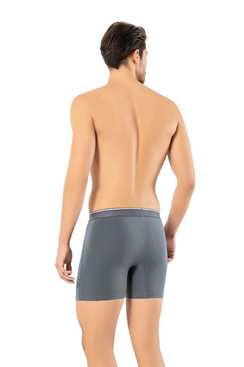 Erdem Pamuk Elastan Uzun Boxer Erdem 1470 - Görsel 8