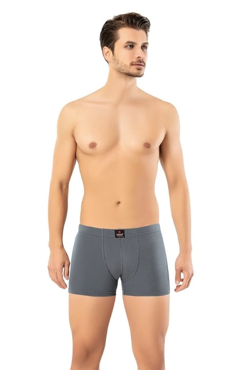 Pamuklu Elastan Kısa Slim Fit Boxer Erdem 1420 - Antrasit