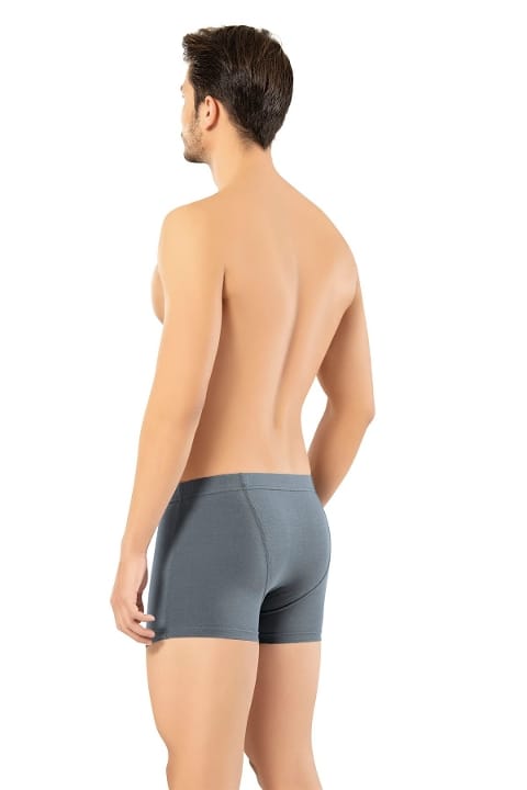 Pamuklu Elastan Kısa Slim Fit Boxer Erdem 1420 - Antrasit