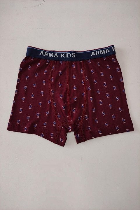 Pamuklu Desenli Likralı Boxer 3'lü Paket Arma Yıldız 5541 - Görsel