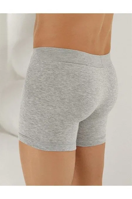 Penye Likralı Gri Erkek Boxer Arma Yıldız 1144 - Gri