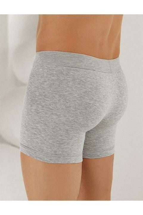 Penye Likralı Gri Erkek Boxer Arma Yıldız 1144 - Gri