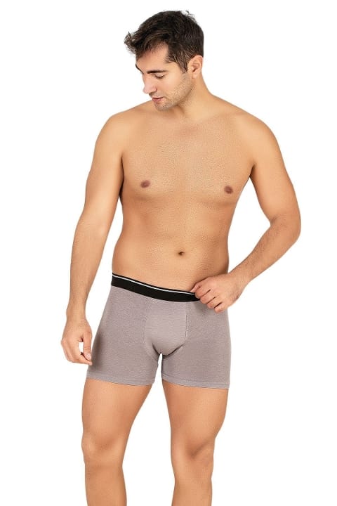 Modal Pamuklu Esnek Bel Boxer Özkan 11256 - Gri