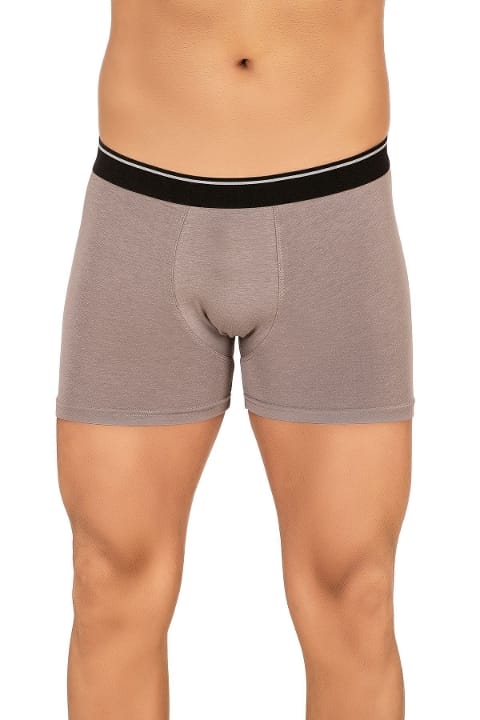 Modal Pamuklu Esnek Bel Boxer Özkan 11256 - Gri