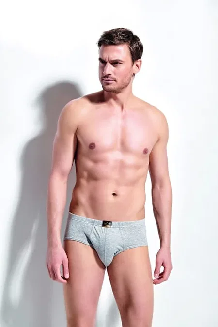 Pamuklu ve Elastan Erkek Slip Külot Kolcu 1310 - Gri