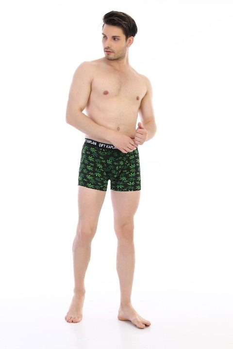 Pamuklu Elastan Yeşil Yaprak Desenli Boxer Çift Kaplan 796 - Görsel