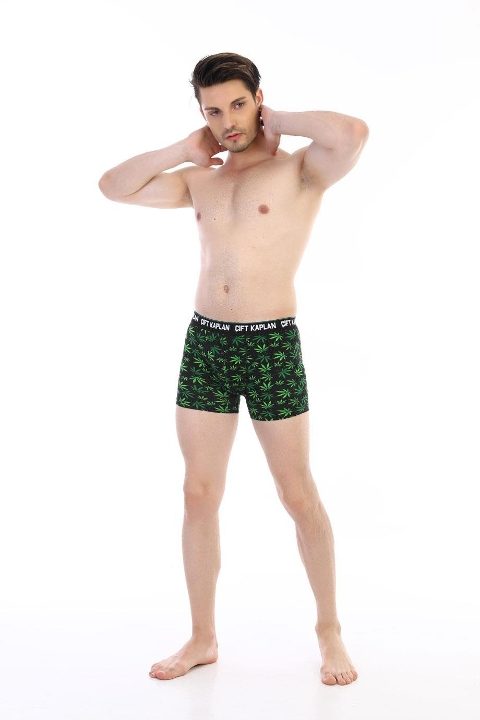 Pamuklu Elastan Yeşil Yaprak Desenli Boxer Çift Kaplan 796 - 2