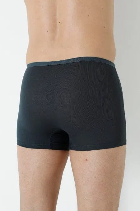 Bambu Kumaş Esnek Lastikli Boxer Arma Yıldız 1190 - Füme