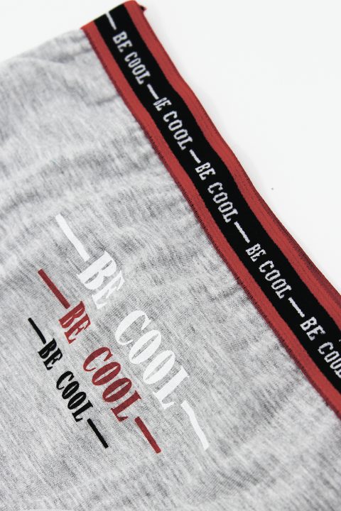 %100 Pamuklu Yumuşak Lastikli Kız Çocuk Külot Öts 8288 - Gri