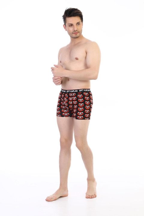 Köpek Desenli Pamuklu Erkek Boxer Çift Kaplan 796 - Görsel