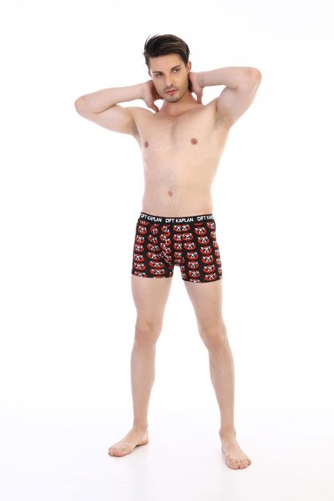 Köpek Desenli Pamuklu Erkek Boxer Çift Kaplan 796 - 2