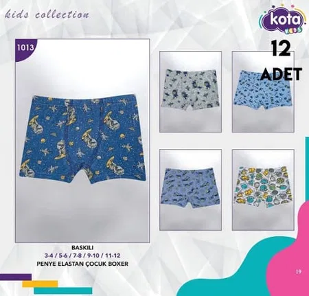 Pamuklu Yumuşak Boxer Kota 1013 - Asorti