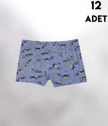 Pamuklu Yumuşak Boxer Kota 1013 - Asorti