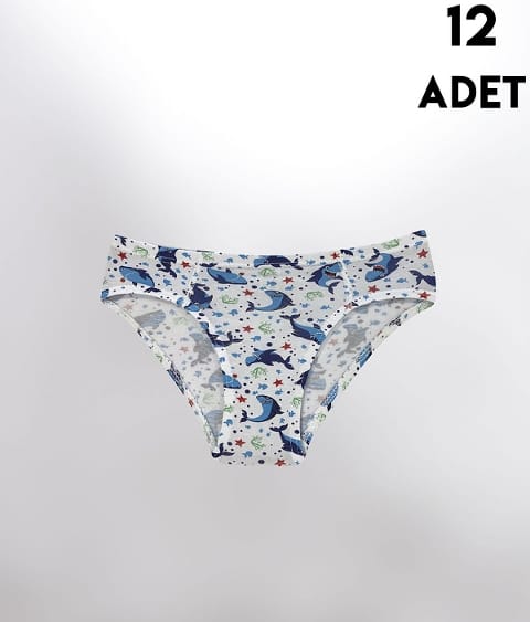 Pamuklu Desenli Erkek Çocuk Külot Kota 1018 - Asorti