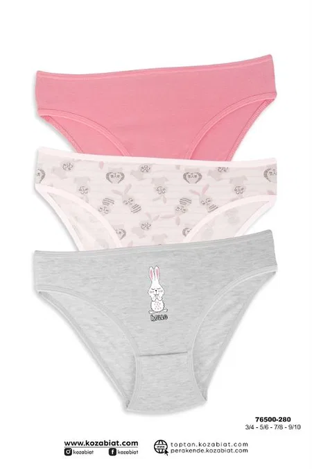 3 Adet Kız Çocuk Külot Slip Renkli Koza Biat KZ76500-280 - Asorti