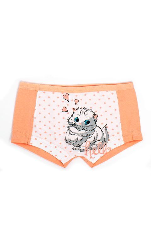 Pamuklu Kedi Baskılı Renkli Külot Öts 8247 - 2