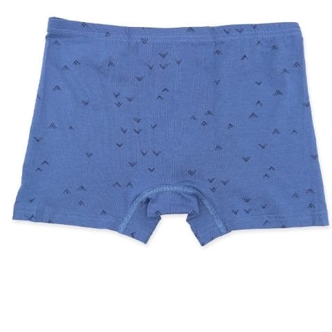 Pamuklu Esnek Bel Lastikli Boxer Anıt 1282 - 2