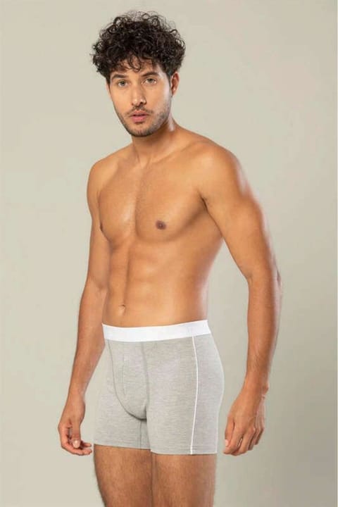 Pamuk Elastan Uzun Boxer Erdem 1417 - Gri